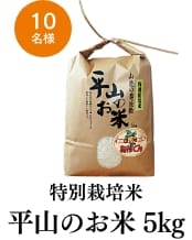[10名様] 特別栽培米 平山のお米 5kg